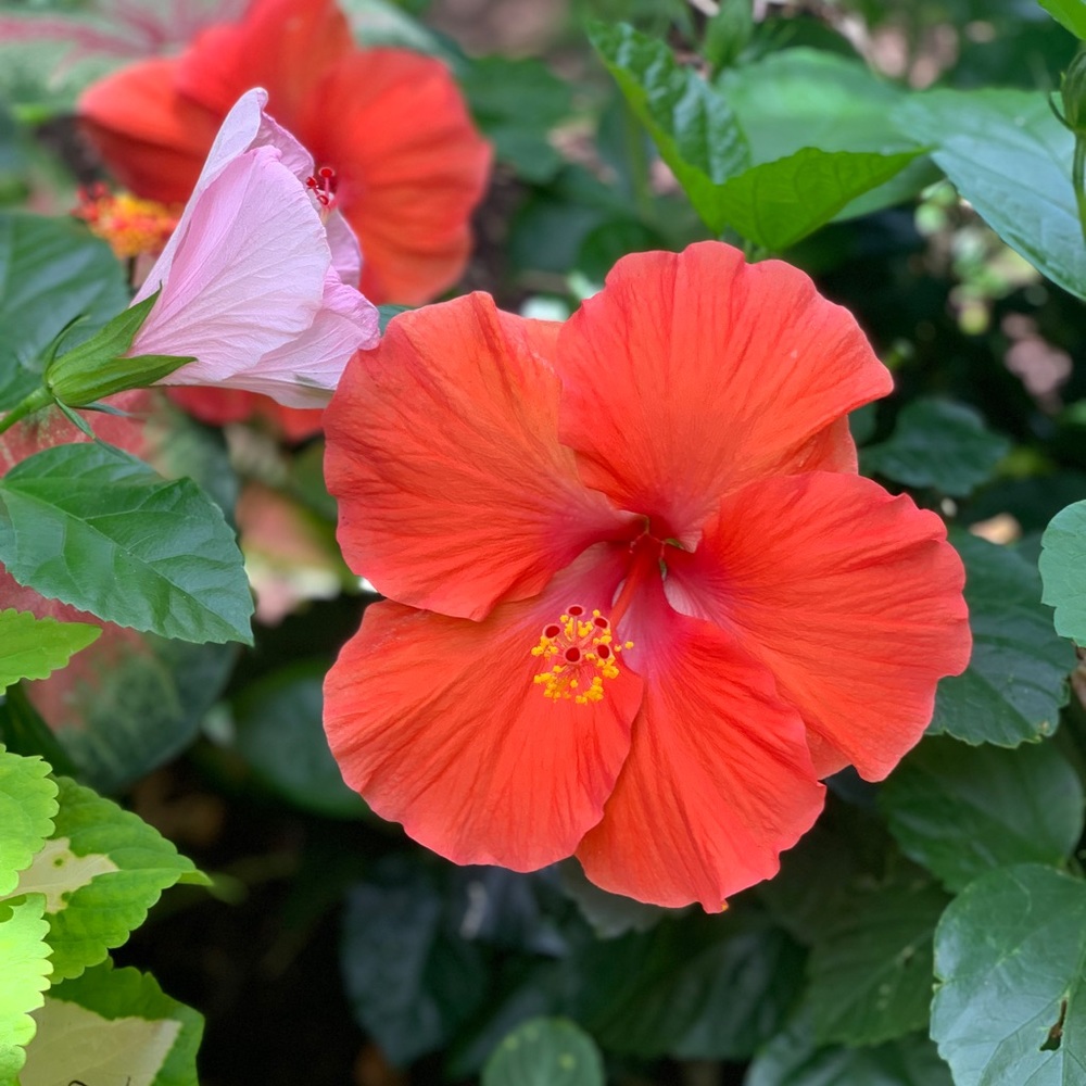 Meet your Posher, Bethanne